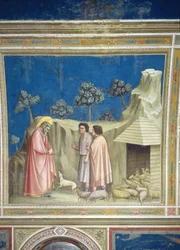 Joaquín entre los pastores, c.1305 (detalle)